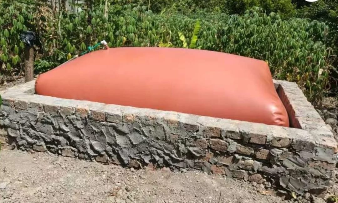 Biofertilizante